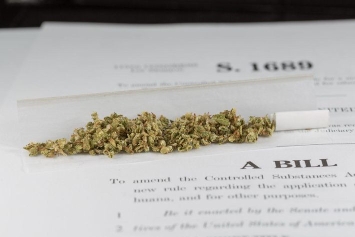 Ohio Will Not Be Voting for Marijuana Legalization This Year
