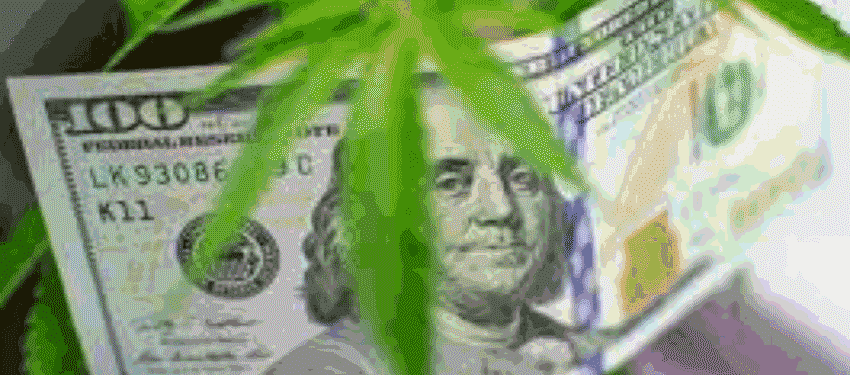 Consistent Revenue and Profits: How this Legal Cannabis Company Stands Apart from the “Smoke-and-Mirrors” Projects in the Market Today