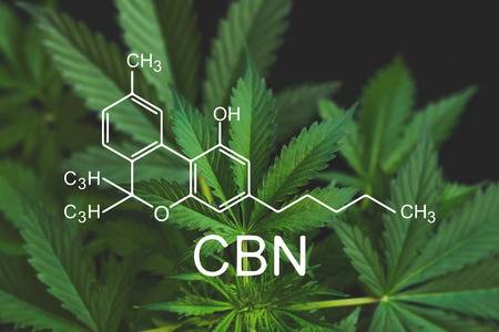 You’ve Heard of CBD, but Have You Heard of CBN?