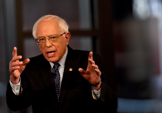 Bernie Sanders Says he Would do This with Marijuana if Elected