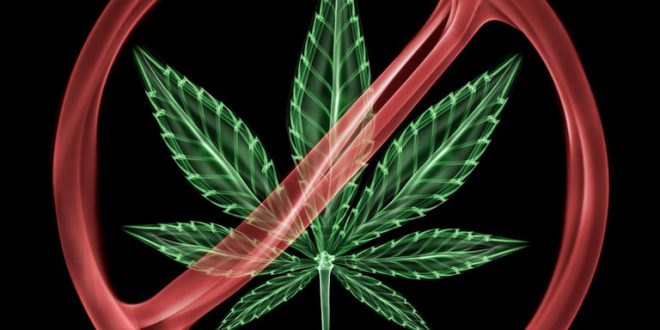 Almost 3,000 Illegal Marijuana Businesses Were Found in a California Audit