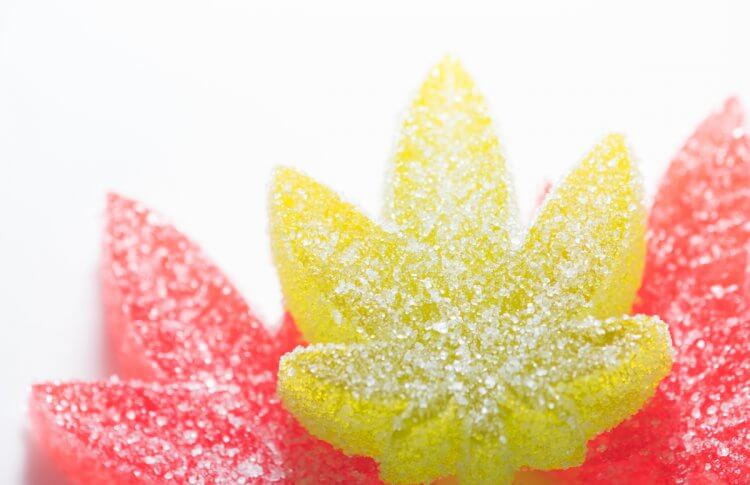 THC-Infused Candy Could Be in Your Child’s Trick or Treat Bag