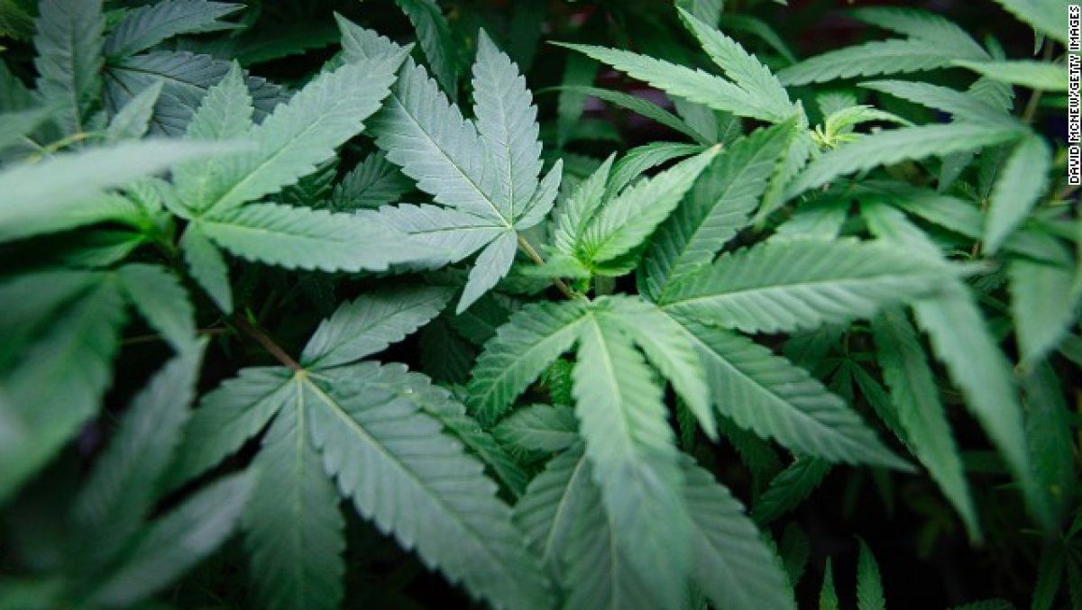 Pennsylvania Legislator Proposes Bill to Legalize Marijuana