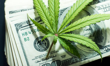 Massachusetts Spent This Much Money on Legal Marijuana in the First Year