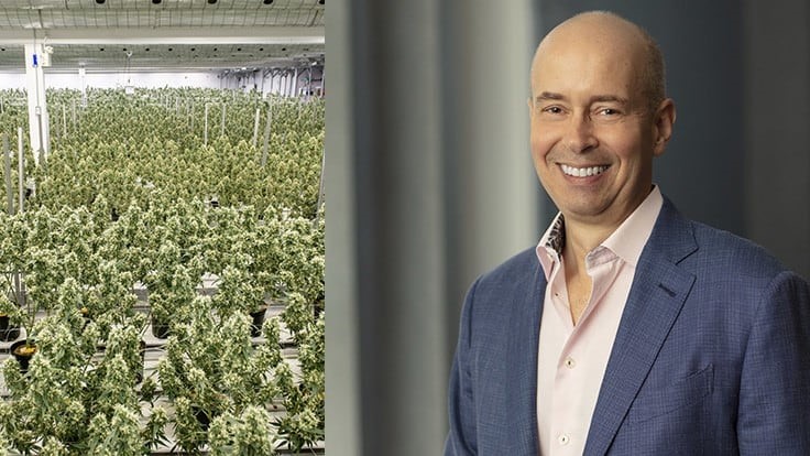 Marijuana Stocks Headed Lower as Analyst Says This About New Canopy Growth CEO