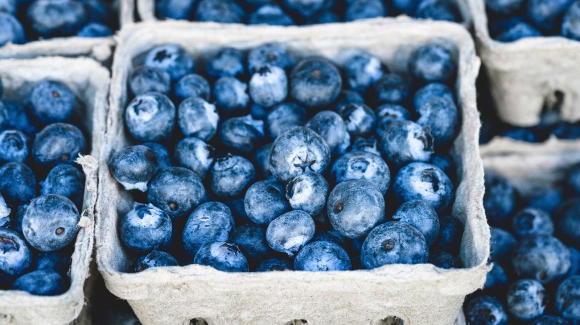 A Blueberry Farm in This State is Going to Invest in a Marijuana Business
