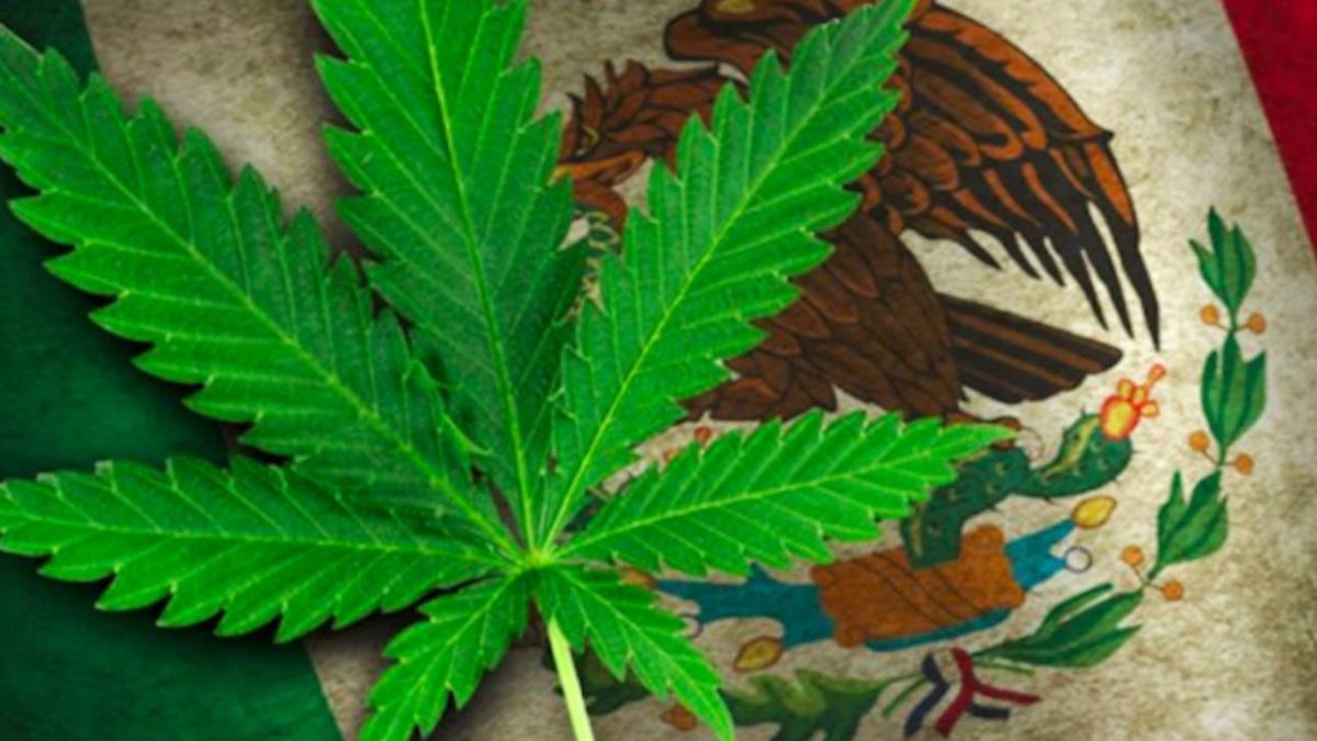 Mexican Lawmakers Expect to Pass Amended Marijuana Legalization Bill