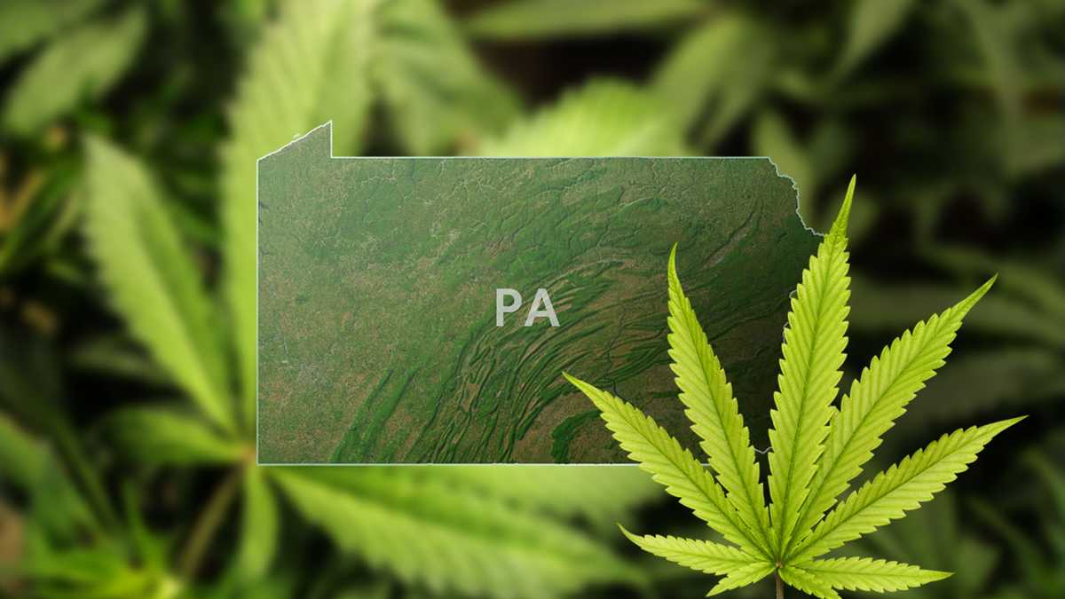 Pennsylvania is Facing a Medical Marijuana Shortage