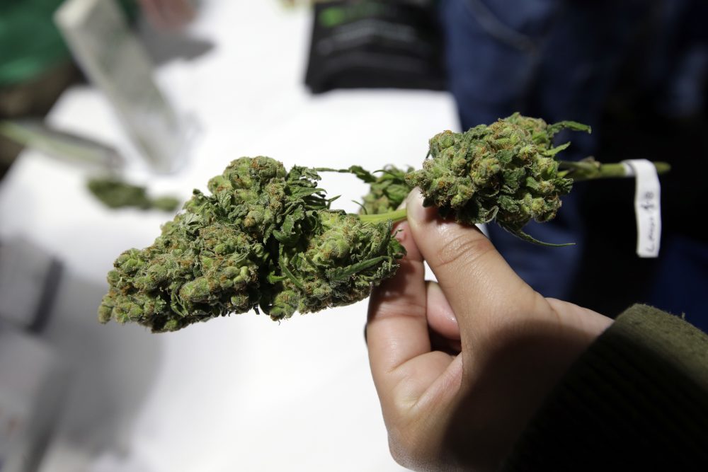 Alabama Legislature’s Study Commission Recommends that Medical Marijuana Become Legal