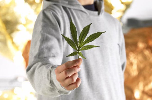 More Pediatricians in Canada are Seeing a Demand for Cannabis for Children