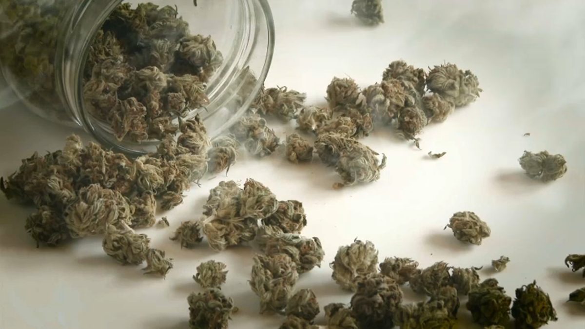 Marijuana Dispensaries Have Been Looted Across the Nation