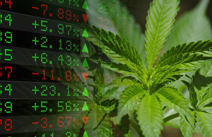 Canopy Growth Shares Explode After Q1 Results and Cowen Price Target Boost