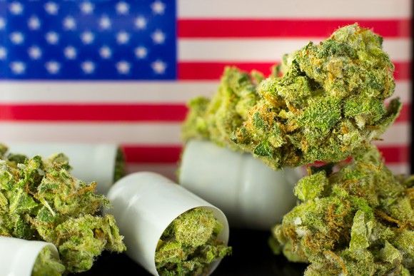 These States Could Be Legalizing Marijuana This Fall