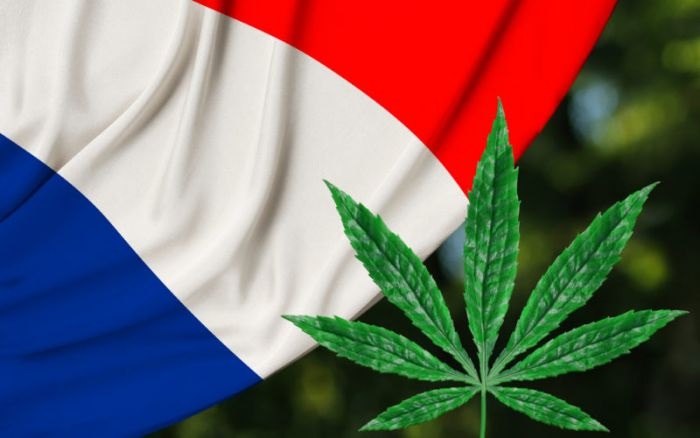 French MPs Had This to Say as They Oppose the Legalization of Cannabis