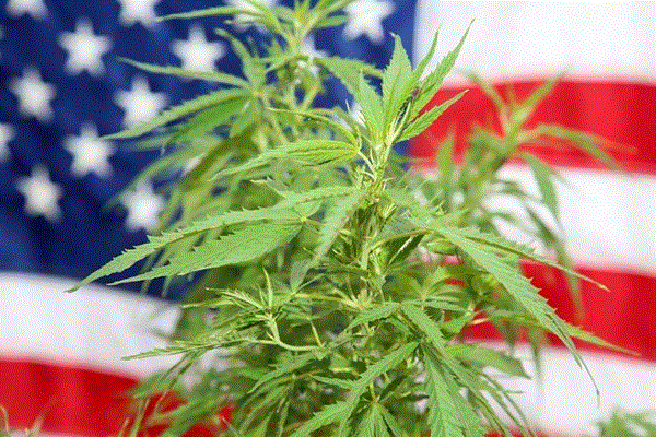 US Congress to Vote on Decriminalizing Marijuana Next Month