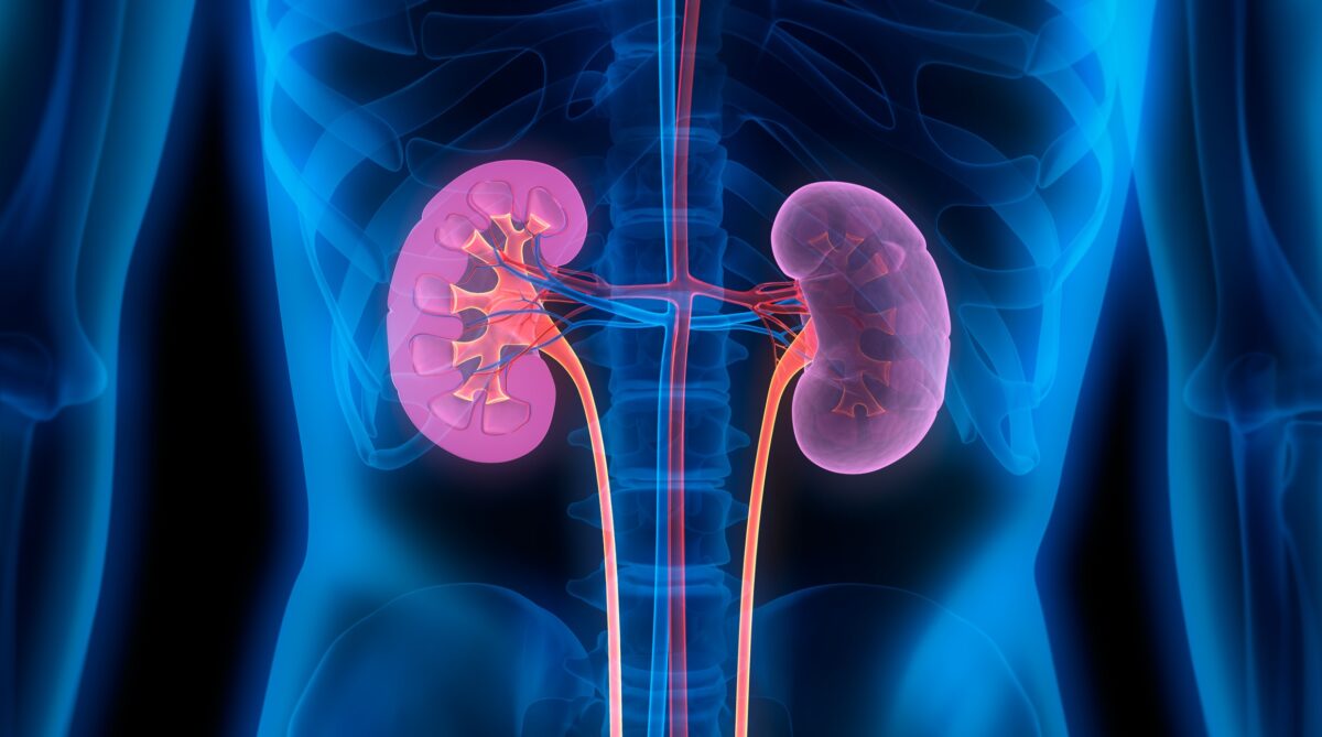 Studies Find that Marijuana Can Improve Some Risk Factors for Kidney Failure