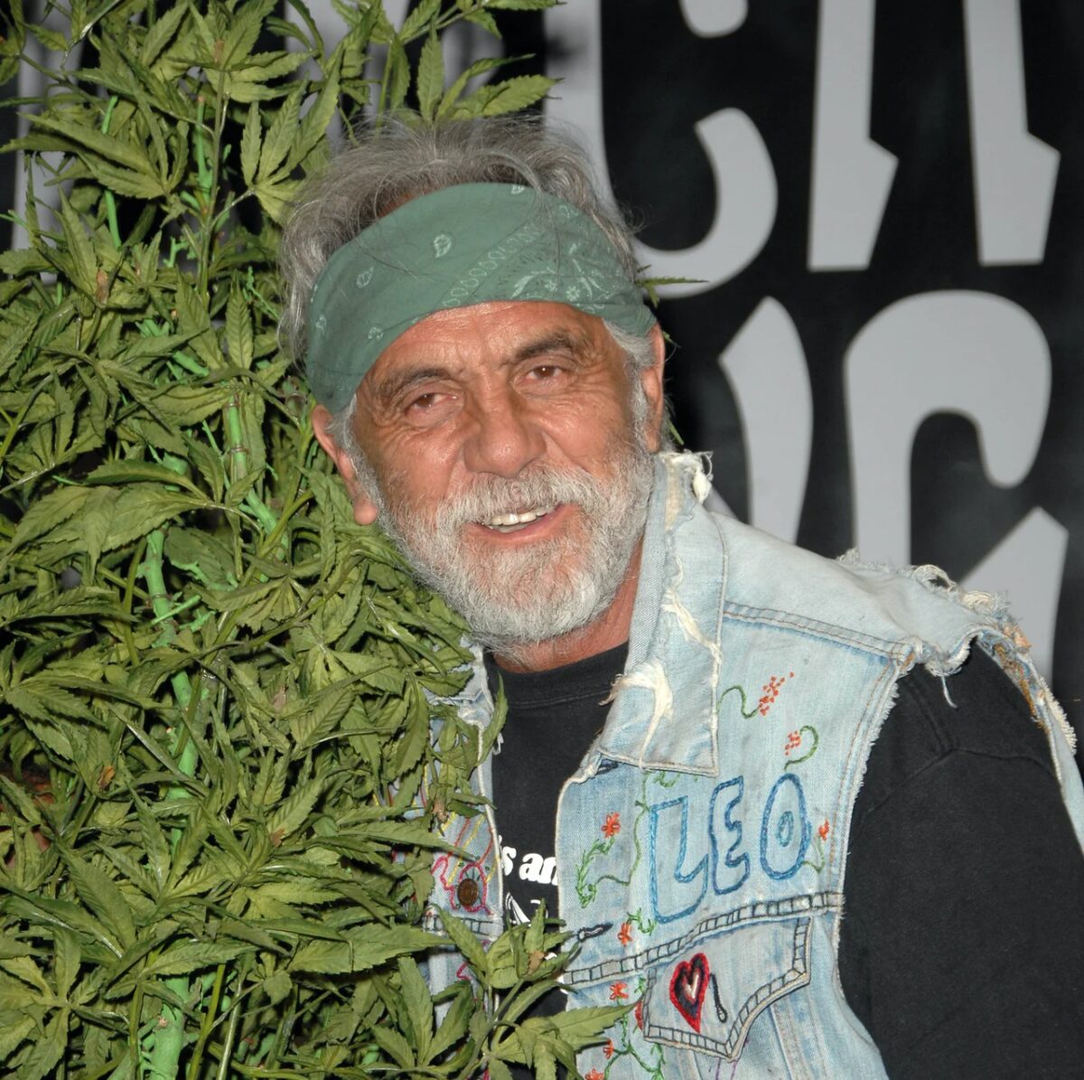 Tommy Chong Shares His Thoughts on America’s Legal Pot Space