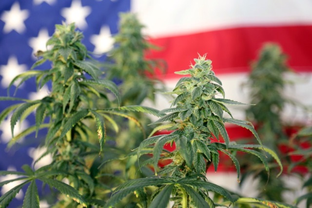 The U.S. House Passes Landmark Bill to Decriminalize Marijuana