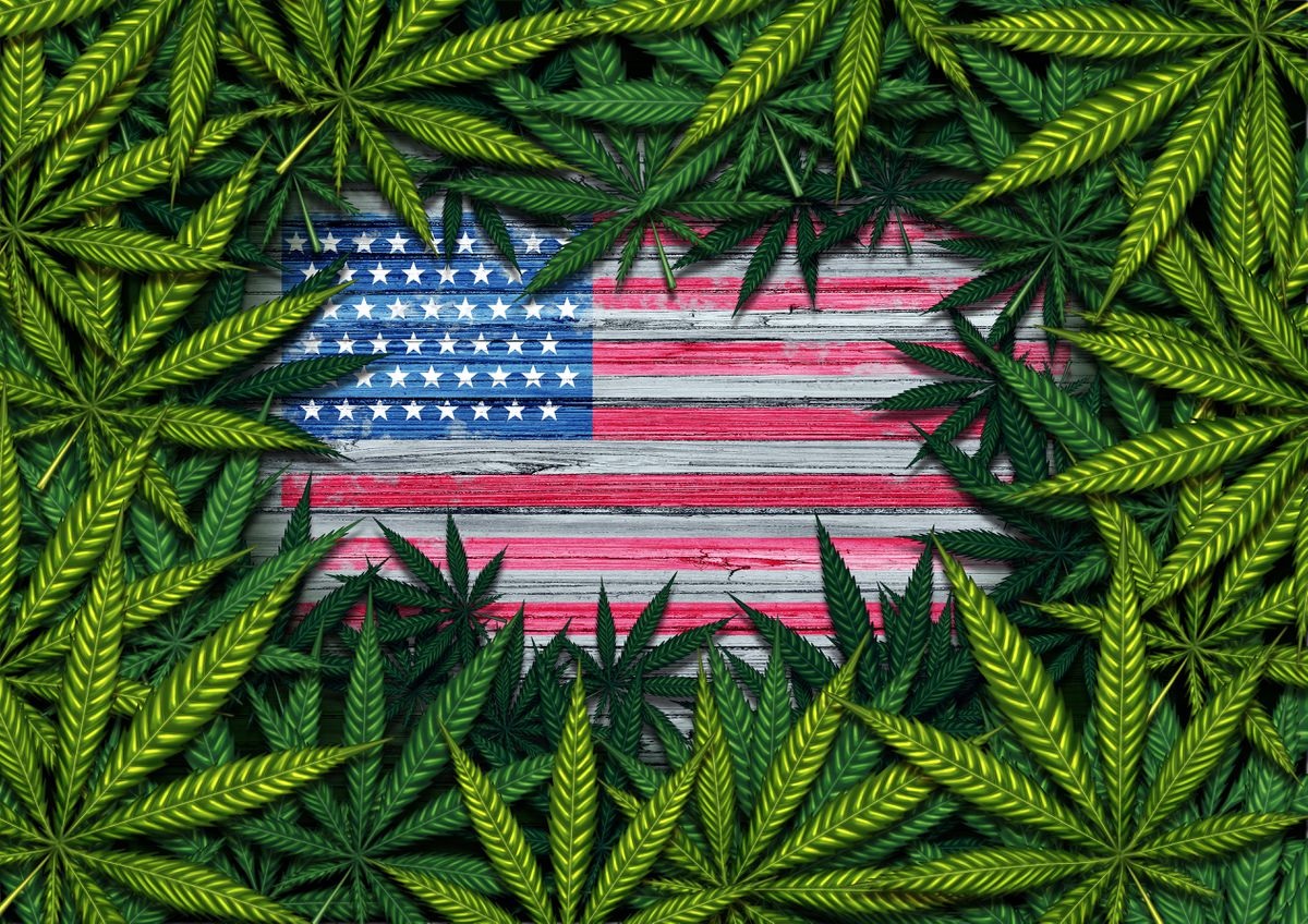 New Frontier Says U.S. Legal Marijuana Market to Double to $41.5 Billion By 2025