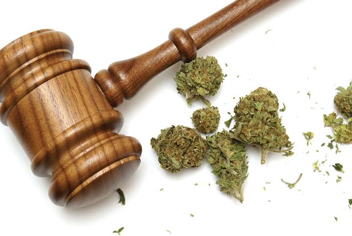 New Bill in Florida Could Wipe Out Misdemeanor Marijuana Convictions