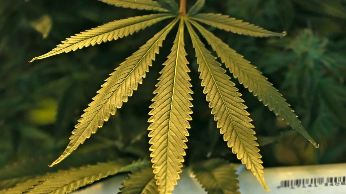 Cannabis Banking Reform Not Included in New Coronavirus Relief Package
