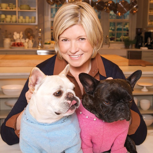 Martha Stewart Launches a Dog Line of Cannabis Treats with Canopy Growth