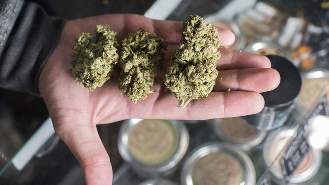 Illinois Sees Record Sales of Marijuana in December