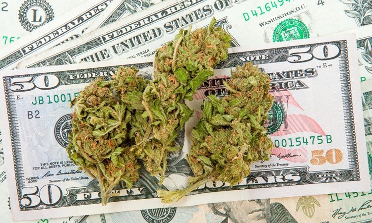 Marijuana Sales in Arizona Are Expected to be Huge