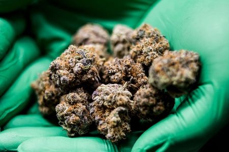 New Florida Medical Marijuana Rules Have People Mad Over This