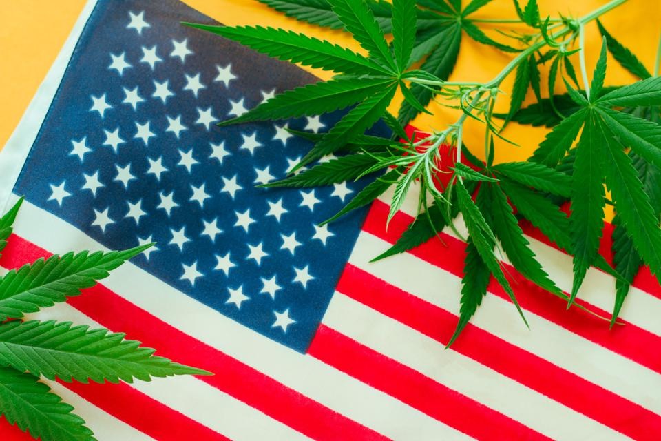 Top Senator Democrats Vow to Legalize Cannabis This Year