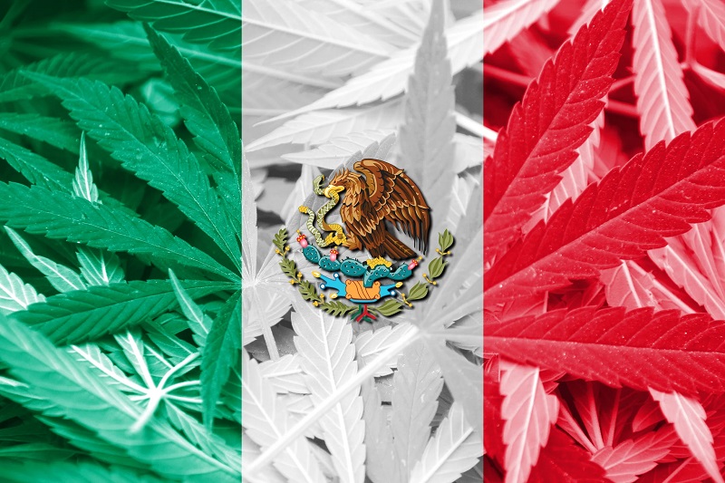 Mexico Gets Closer to Legalizing Cannabis Bill in Landmark Decision
