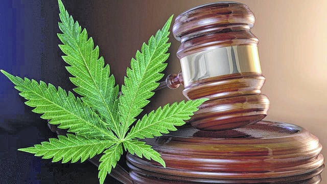 Senate Majority Leader Chuck Schumer to Make Marijuana Reform a Priority
