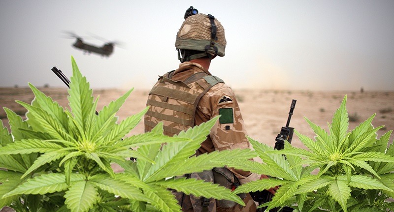 PTSD Study Finds Cannabis Safe but Also Found This to Be True