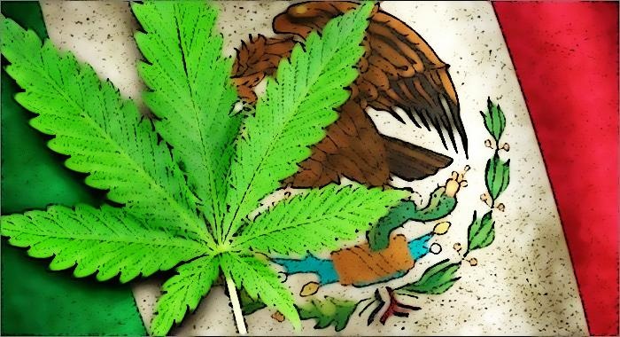 Mexico Gets Closer to Legislation as Legalization Bill Clears Key Senate Committee