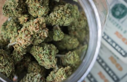 Sundial’s Recreational Cannabis Revenue Sinks Nearly 40%