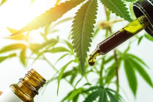 The Feds Announce Standardized THC Dose for Cannabis Research at This Level