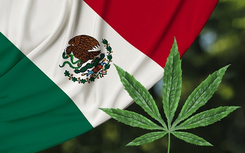 Mexico Supreme Court Decriminalizes Marijuana