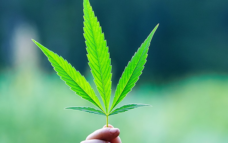 Ohio Lawmakers Introduce Legislation to Legalize Recreational Cannabis
