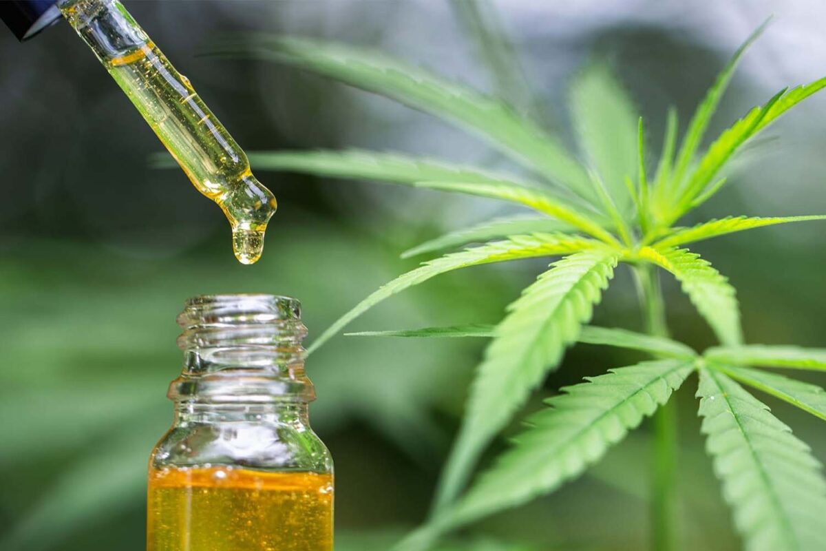 Georgia is Permitting 6 Companies to Legally Produce and Distribute Medicinal Cannabis Oil