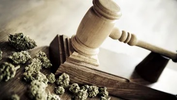 Los Angeles District Attorney to Dismiss Nearly 60,000 Cannabis Convictions