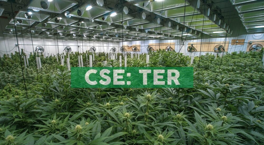 TerrAscend is Buying Michigan Marijuana Operator Gage for $545M