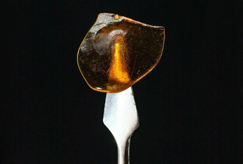 How to Choose the Best Delta 8 THC Dabs: My Top Picks!