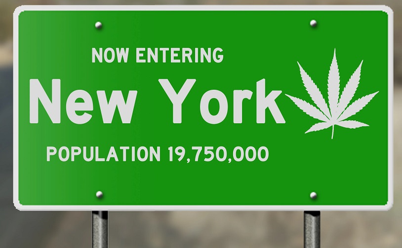 New York Aims for $200M Fund to Bolster Cannabis Social Equity Goals