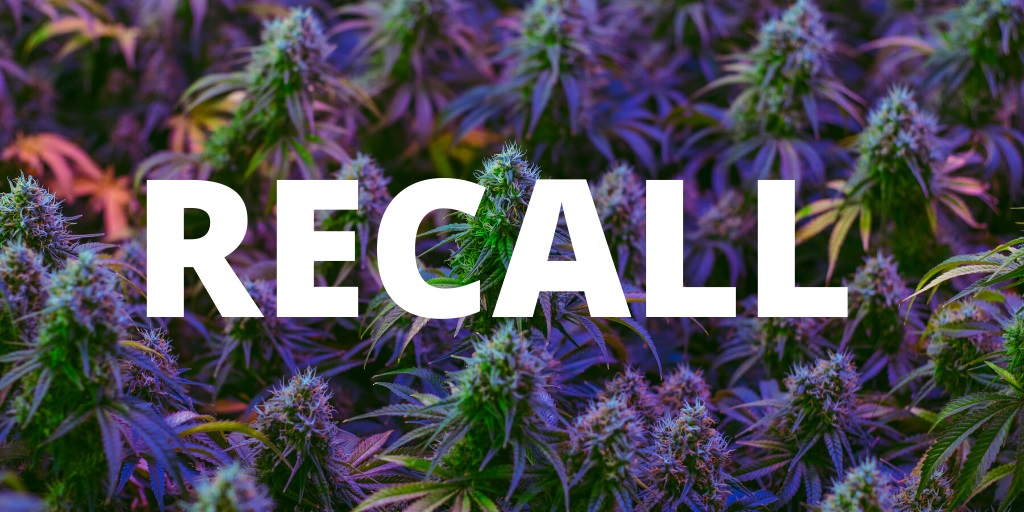 California’s Department of Cannabis Recalls Cannabis Flower Due to Mold