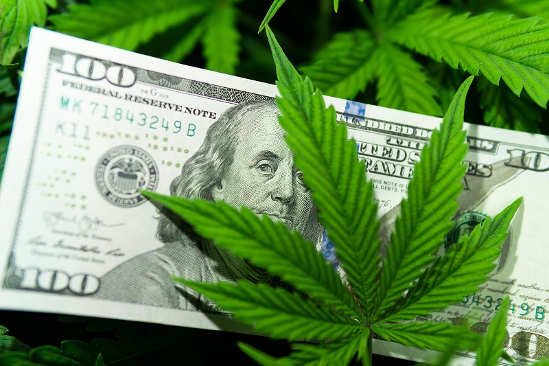 This State is Seeing ‘No Limit’ Recreational Marijuana Licenses Getting Approved