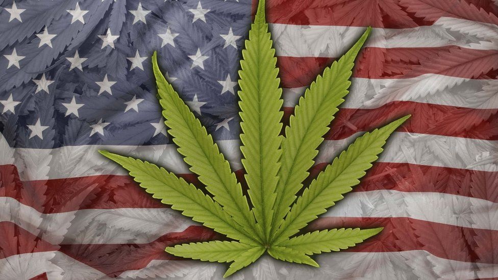 New Poll Reveals Many Americans Entered the State Legalized Market in the Last Year
