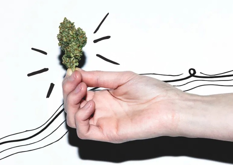 Study Finds that Marijuana ‘Strain’ Labels Often Mislead Consumers