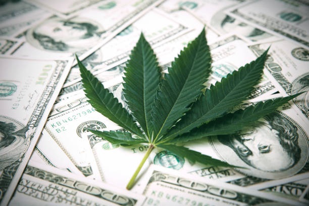 Treasure Department Wants to Collect Marijuana Business Data for This Reason