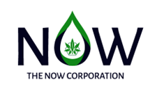 The Now Corporation (OTC: NWPN) Acquires An Equity Stake In A Revolutionary Free Speech Social Media Company, MePeeps Inc.