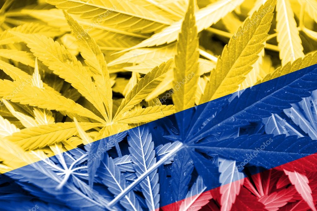 This image has an empty alt attribute; its file name is depositphotos_67435941-stock-photo-colombia-flag-on-cannabis-background.jpg